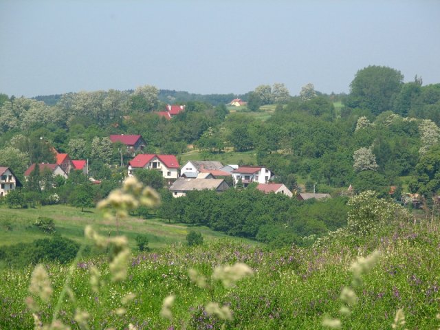 Wielka-wies18